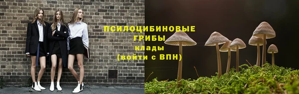амф Каменногорск