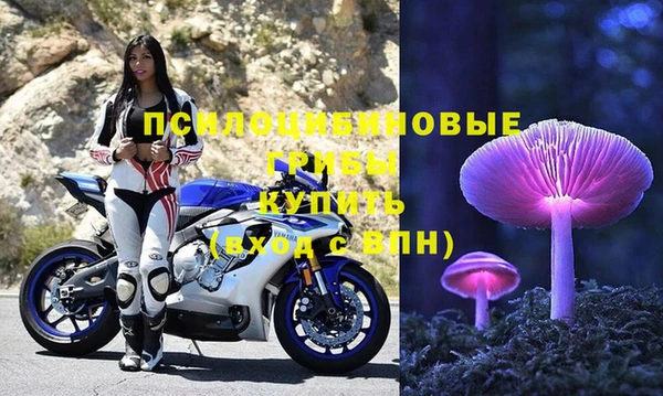 дживик Каменск-Шахтинский