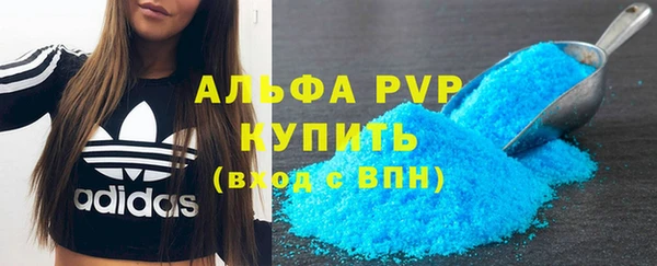 амф Каменногорск