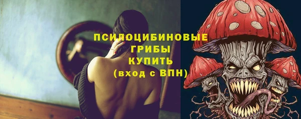дживик Каменск-Шахтинский
