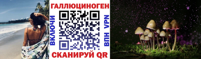 Псилоцибиновые грибы MAGIC MUSHROOMS  Купить где  Грайворон 